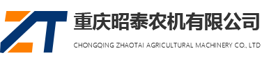重慶91视频IOS下载